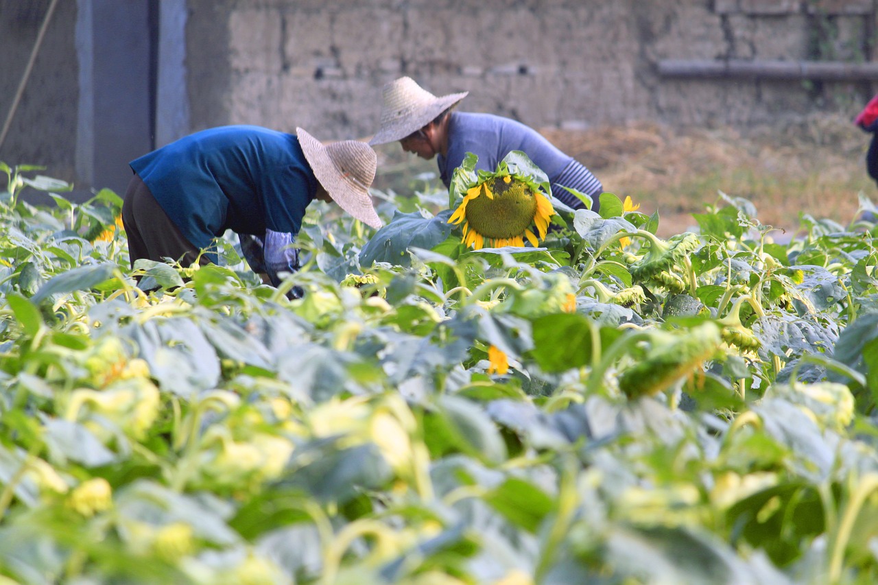 清明节烧纸钱新解，环保、安全与传统并重