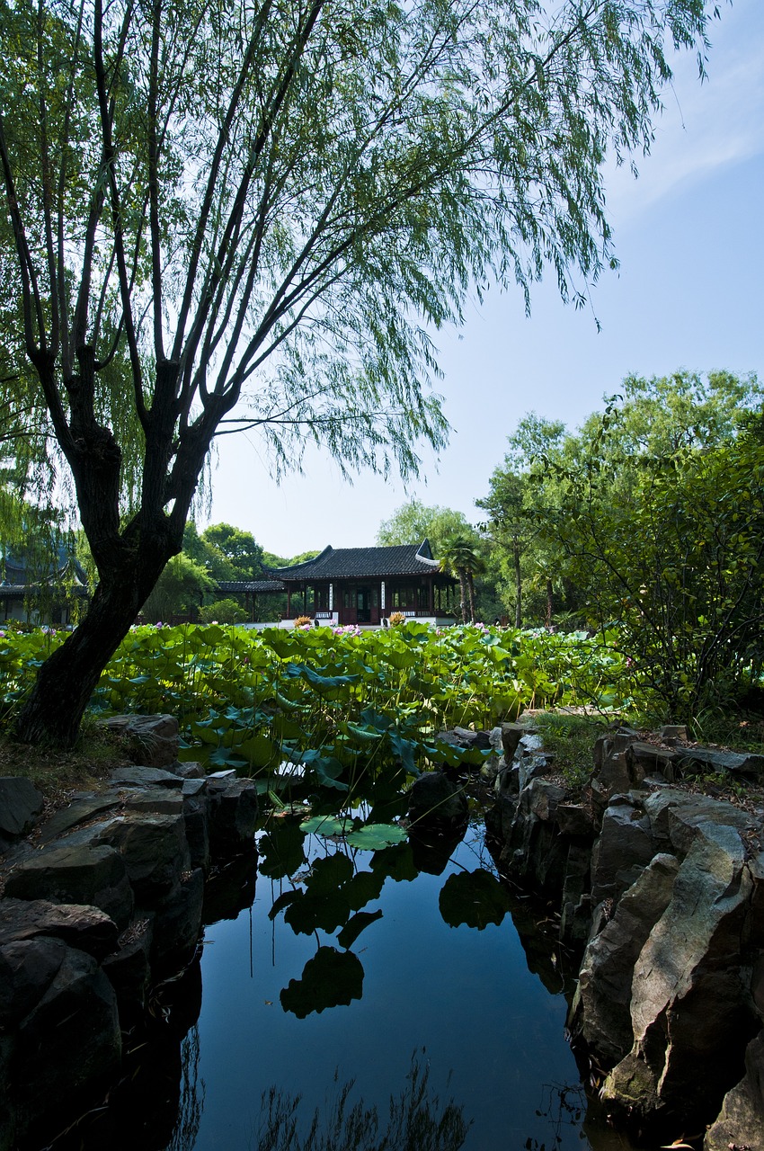 上海寺庙巡礼，探寻都市中的静谧禅境