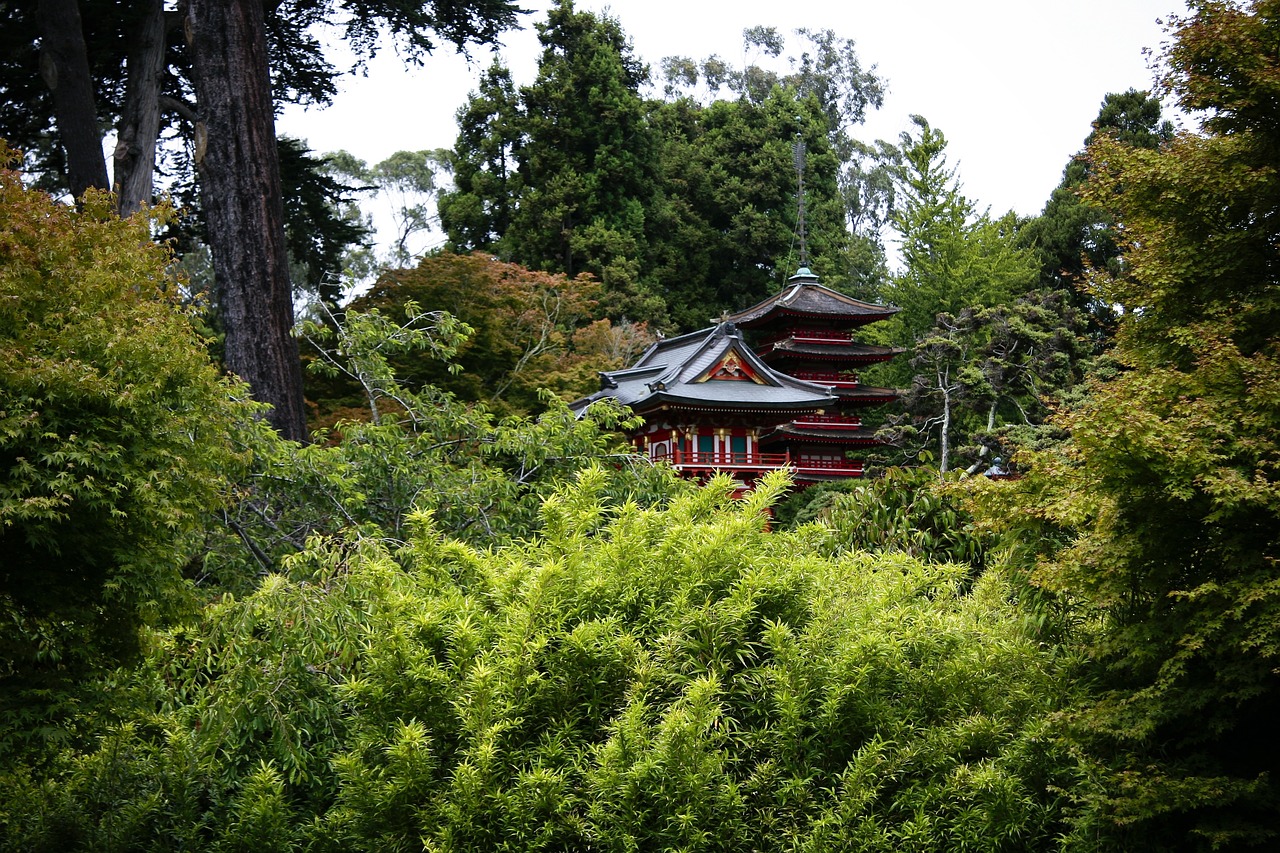 九华山烧香灵验之谜，信仰与自然的和谐共鸣